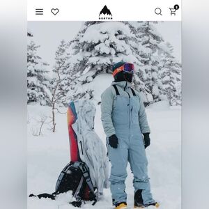 NWT Burton ak Gore-tex Bib Pants